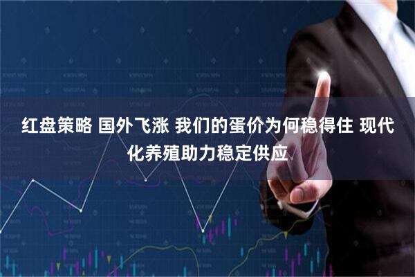 红盘策略 国外飞涨 我们的蛋价为何稳得住 现代化养殖助力稳定供应